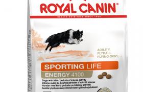 Royal Canin Sporting Life Energy 4100 (L)