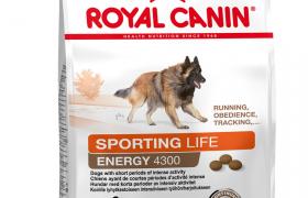 Royal Canin Sporting Life Chien Trail 4300
