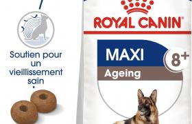Royal Canin Chien Maxi Ageing +8