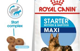 Royal Canin Chien Maxi Starter