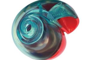 KONG Rewards coquillage friandise KONG Rewards coquillage friandise