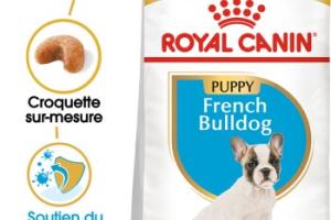 ROYAL CANIN Bouledogues français Puppy 10 kg