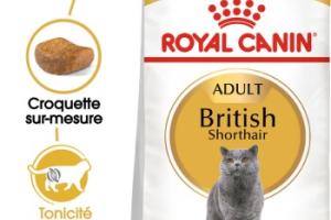ROYAL CANIN British Shorthair Adulte Croquettes Chat 2 kg