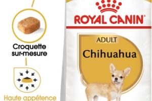 ROYAL CANIN Chihuahua Adulte Croquettes Chien 3 kg ROYAL CANIN Chihuahua Adulte Croquettes Chien 3 kg