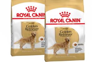 ROYAL CANIN Golden Retriever Adulte Croquettes Chien 2x12 kg ROYAL CANIN Golden Retriever Adulte Croquettes Chien 2x12 kg