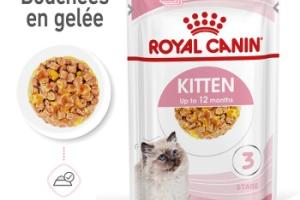 ROYAL CANIN Kitten en gelée 12x85 g ROYAL CANIN Kitten en gelée 12x85 g