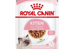 ROYAL CANIN Kitten en sauce 12x85 g ROYAL CANIN Kitten en sauce 12x85 g