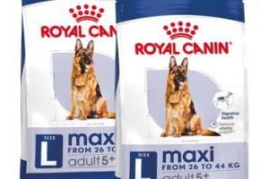ROYAL CANIN SHN Maxi Adult 5+ 2x15 kg