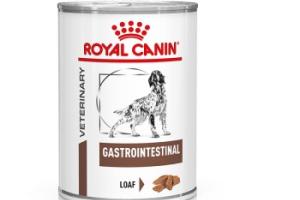 ROYAL CANIN Veterinary Gastrointestinal Mousse 12x400 g