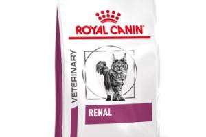 ROYAL CANIN Veterinary Renal Croquettes Chat 4 kg ROYAL CANIN Veterinary Renal Croquettes Chat 4 kg