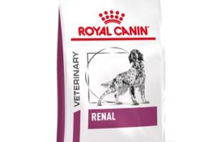 ROYAL CANIN Veterinary Renal Croquettes Chien 14 kg