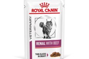 ROYAL CANIN Veterinary Renal Nourriture humide Chat 12x85g Bœuf