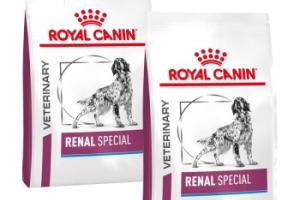 ROYAL CANIN Veterinary Renal Special Croquettes Chien 2x10 kg