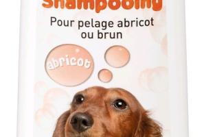 Shampooing pour chien au pelage abricot ou brun 250 ml