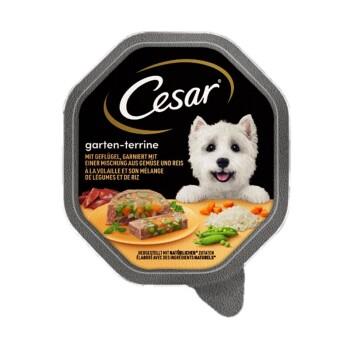 Cesar Jardin diversité Volaille, légumes et riz 14x150 g Cesar Jardin diversité Volaille, légumes et riz 14x150 g