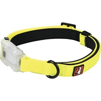 Dogs Creek Collier lumineux Polar M Dogs Creek Collier lumineux Polar M