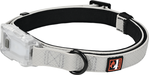 Dogs Creek Collier lumineux Polar M