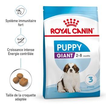 ROYAL CANIN Giant Chiot Croquettes Chien 15 kg