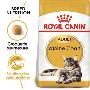 ROYAL CANIN Maine Coon Adulte Croquettes Chat 4 kg