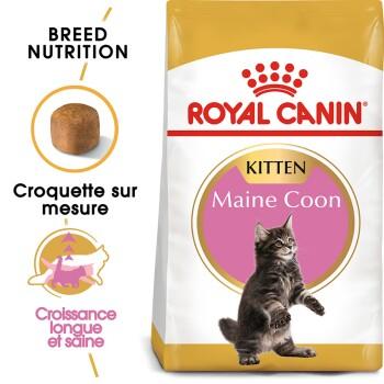 ROYAL CANIN Maine Coon Chaton Croquettes Chat 10 kg ROYAL CANIN Maine Coon Chaton Croquettes Chat 10 kg