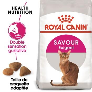 ROYAL CANIN Savour Exigent Croquettes Chat 2 kg ROYAL CANIN Savour Exigent Croquettes Chat 2 kg