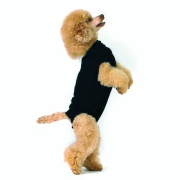 Trovet Body pour chien Recovery Suit noir XXXS