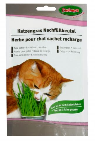 Recharge herbe à chat Recharge herbe à chat