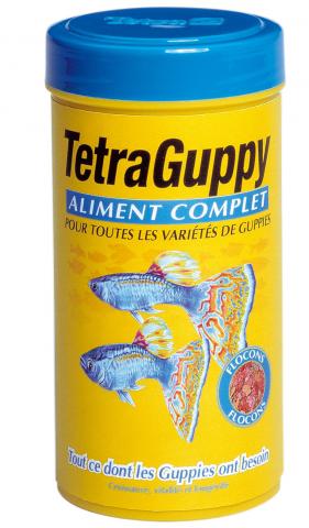 Tetra Guppy Tetra Guppy