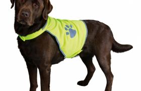 Gilet de sécurité Safer Life Gilet de sécurité Safer Life