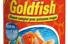 Tetra Goldfish