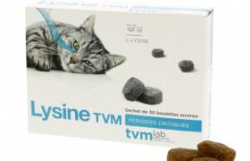 Lysine Lysine