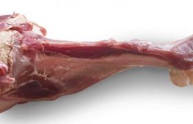 Os jambon de parme sous vide