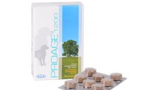 Proage 1200 Chien Proage 1200 Chien