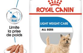 Royal Canin Light Weight Care mousse Chien – Sachets fraîcheur