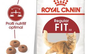 Royal Canin Chat Regular Fit 32 Royal Canin Chat Regular Fit 32