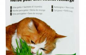 Recharge herbe à chat Recharge herbe à chat