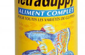 Tetra Guppy