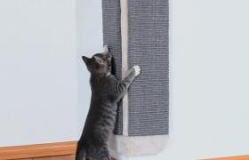 Trixie Griffoir d'angle