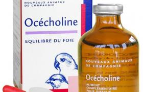 Virbac Ocecholine Oiseaux Virbac Ocecholine Oiseaux