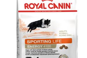 Royal Canin Sporting Life Energy 4100 (L)