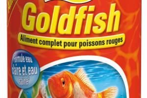 Tetra Goldfish Tetra Goldfish