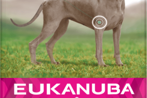 Eukanuba Daily Care Chien Adulte Articulations Sensibles Poulet Eukanuba Daily Care Chien Adulte Articulations Sensibles Poulet