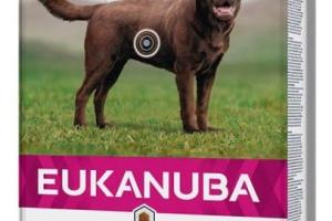 Eukanuba Daily Care Chien Adulte Large Contrôle du poids Poulet