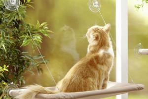 Hamac de fenêtre Hamac de fenêtre