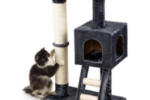 AniOne Arbre à chat avec escalier AniOne Arbre à chat avec escalier