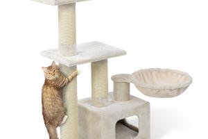 AniOne Arbre à chat Millie AniOne Arbre à chat Millie