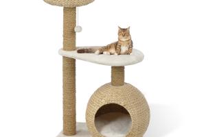 AniOne Arbre à chat Saki AniOne Arbre à chat Saki