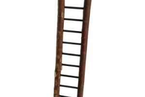 AniOne Échelle en bois naturel pour perruches 39 cm AniOne Échelle en bois naturel pour perruches 39 cm