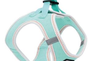 AniOne Gilet souple Pepe&Kitty turquoise XS AniOne Gilet souple Pepe&Kitty turquoise XS