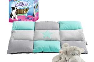 AniOne New Puppy Starter Set S